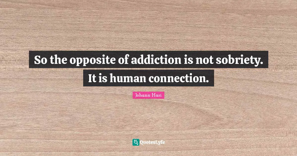 So the opposite of addiction is not sobriety. It is human connection.