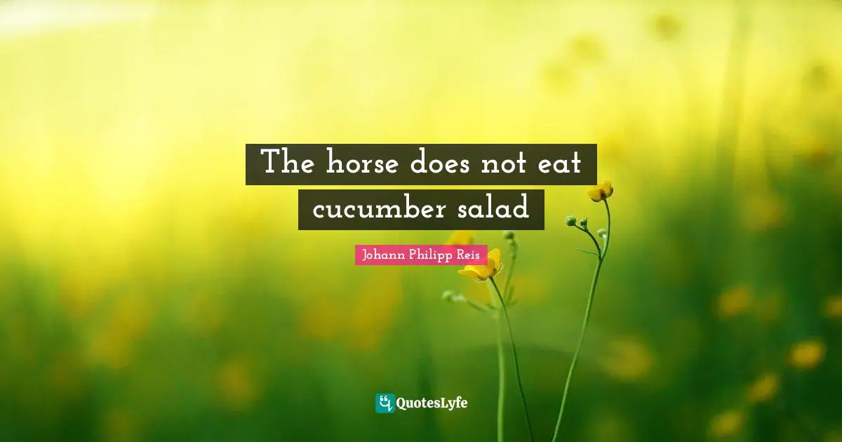 The horse does not eat cucumber salad