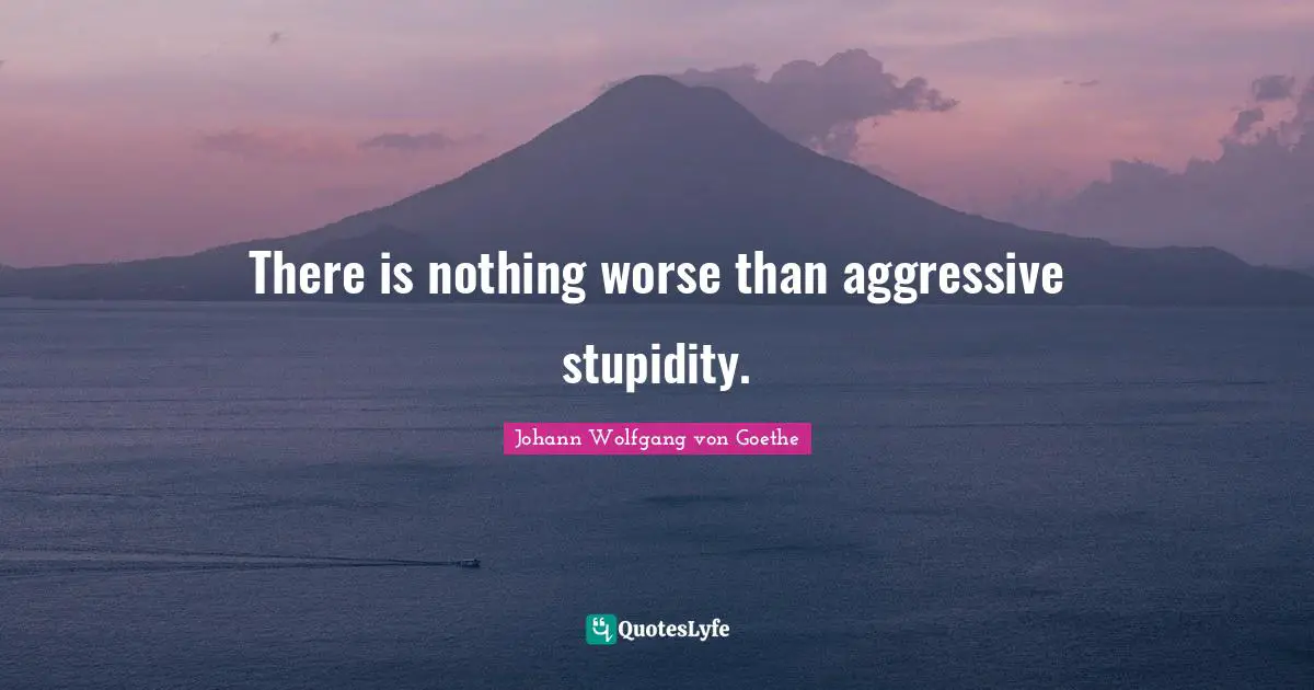 Stupidity Quotes: "There is nothing worse than aggressive stupidity."