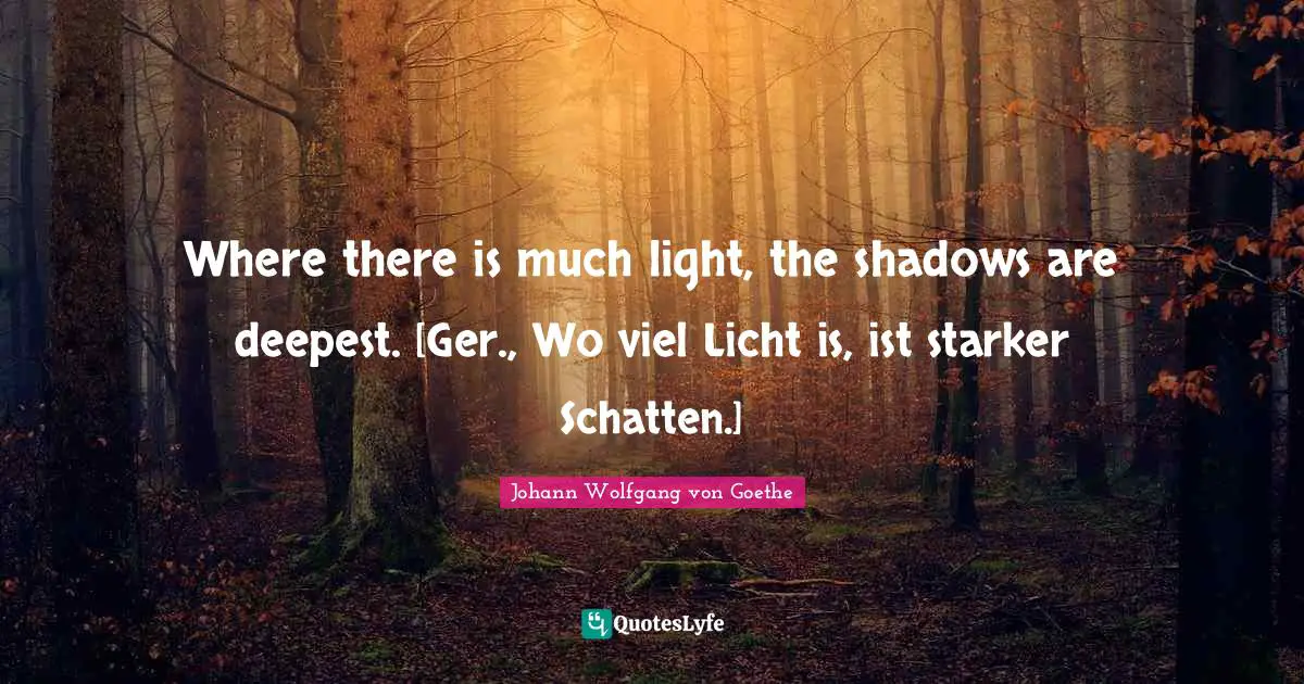 Where there is much light, the shadows are deepest. [Ger., Wo viel Licht is, ist starker Schatten.]