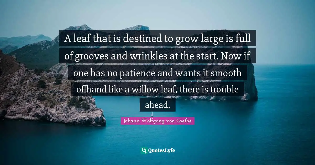 A leaf that is destined to grow large is full of grooves and wrinkles at the start. Now if one has no patience and wants it smooth offhand like a willow leaf, there is trouble ahead.