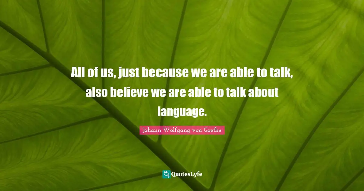 All of us, just because we are able to talk, also believe we are able to talk about language.