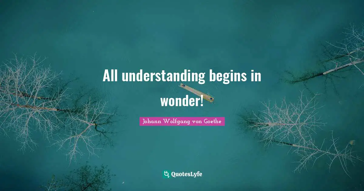 All understanding begins in wonder!