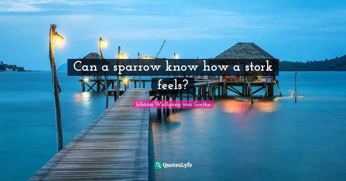 Can a sparrow know how a stork feels?