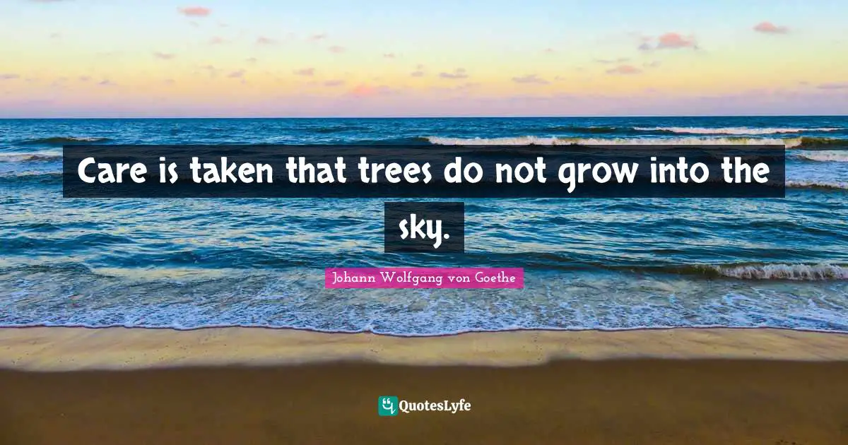 Care is taken that trees do not grow into the sky.