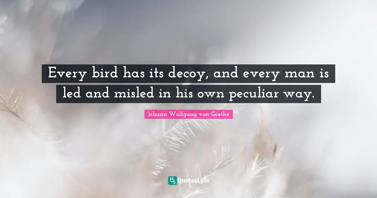 Every bird has its decoy, and every man is led and misled in his own peculiar way.