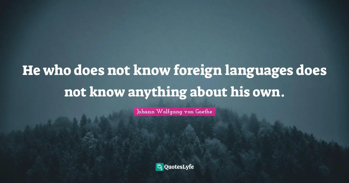 He who does not know foreign languages does not know anything about his own.