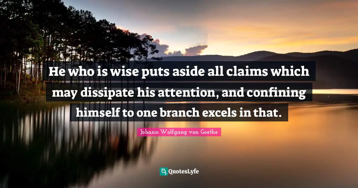 He who is wise puts aside all claims which may dissipate his attention, and confining himself to one branch excels in that.