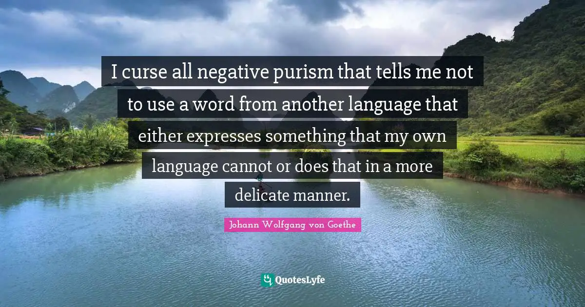 I curse all negative purism that tells me not to use a word from another language that either expresses something that my own language cannot or does that in a more delicate manner.