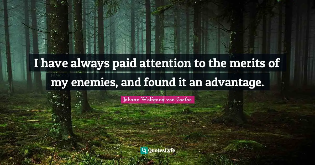 I have always paid attention to the merits of my enemies, and found it an advantage.