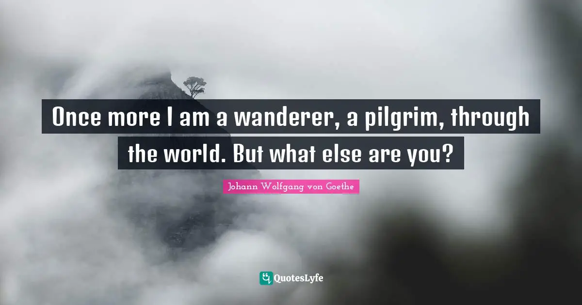 Once more I am a wanderer, a pilgrim, through the world. But what else are you?