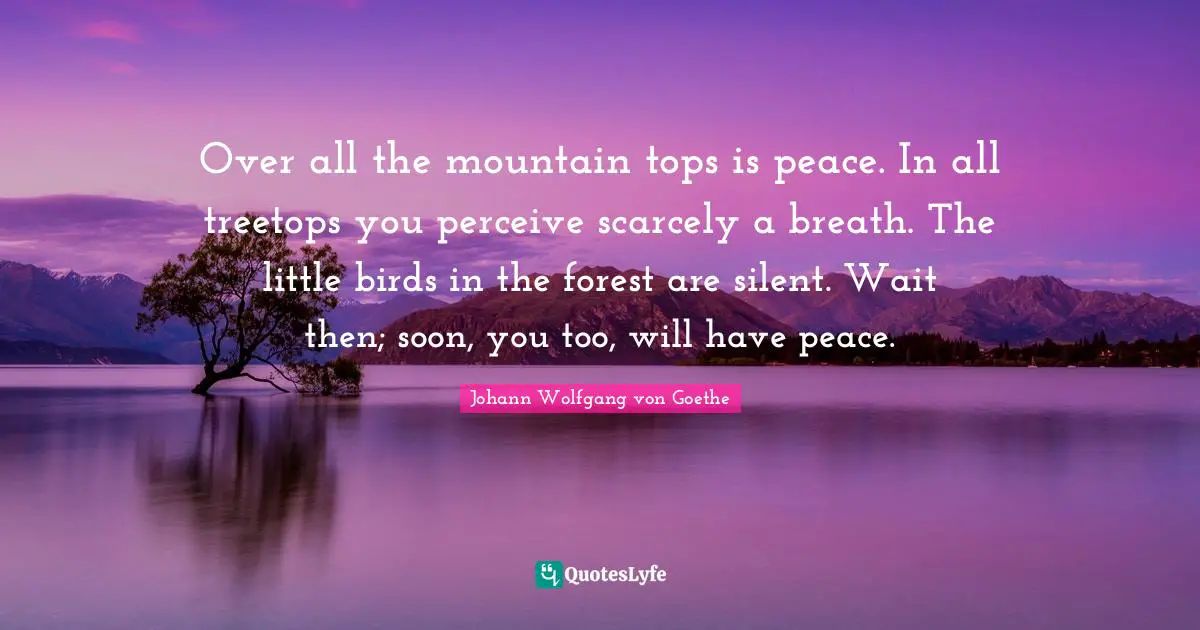 Over all the mountain tops is peace. In all treetops you perceive scarcely a breath. The little birds in the forest are silent. Wait then; soon, you too, will have peace.