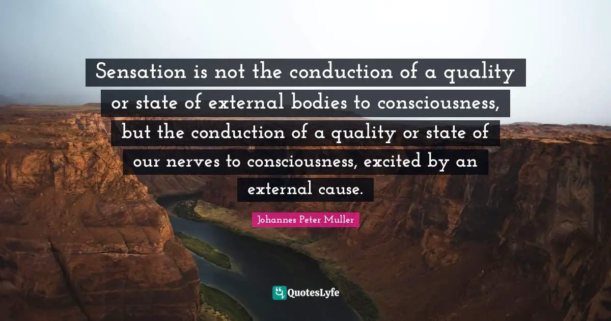 Sensation is not the conduction of a quality or state of external bodies to consciousness, but the conduction of a quality or state of our nerves to consciousness, excited by an external cause.