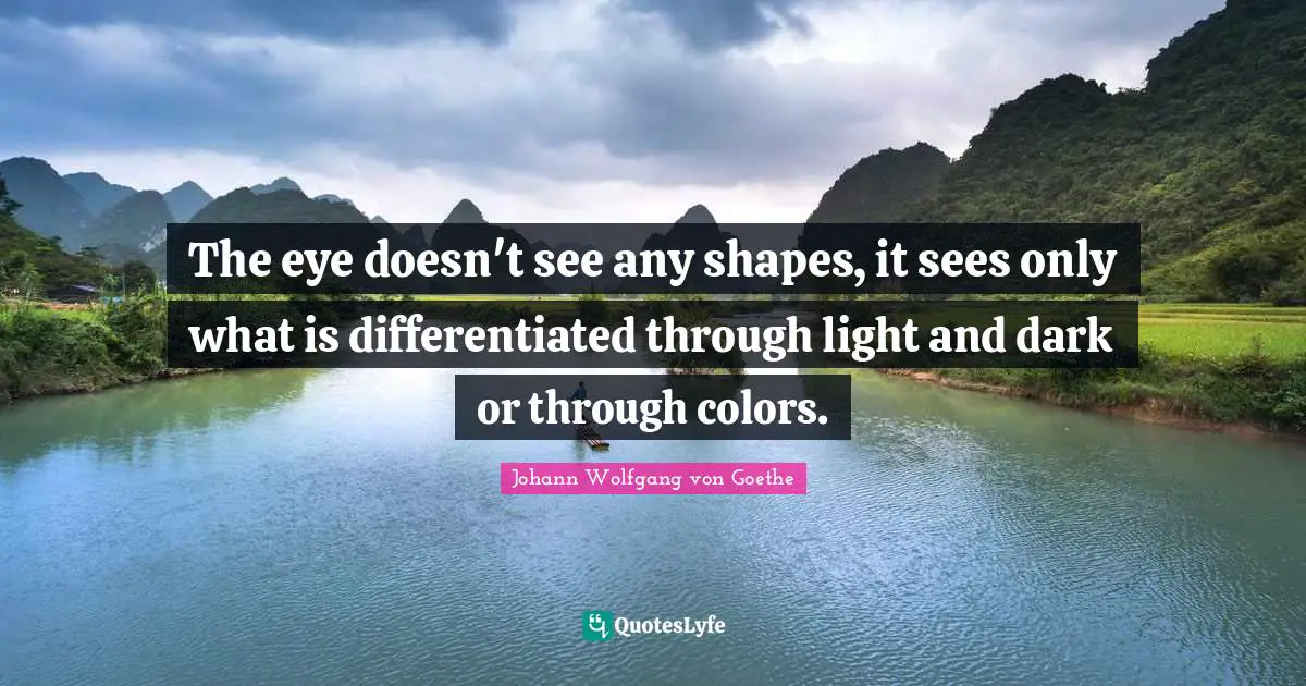 Light And Dark Quotes: "The eye doesn't see any shapes, it sees only what is differentiated through light and dark or through colors."