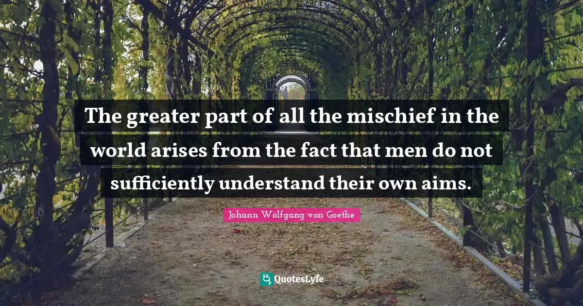 The greater part of all the mischief in the world arises from the fact that men do not sufficiently understand their own aims.