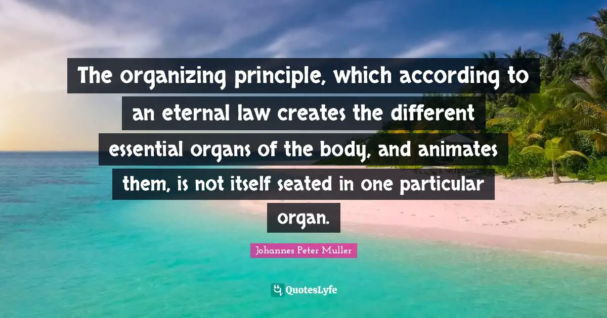 The organizing principle, which according to an eternal law creates the different essential organs of the body, and animates them, is not itself seated in one particular organ.
