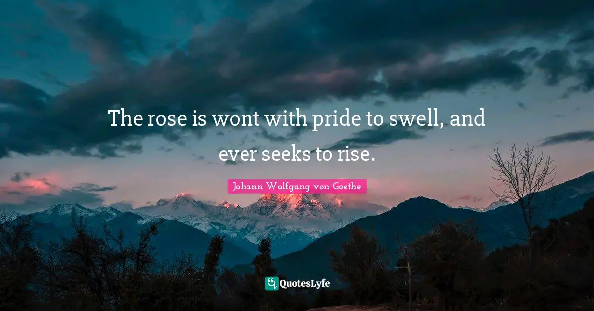 The rose is wont with pride to swell, and ever seeks to rise.