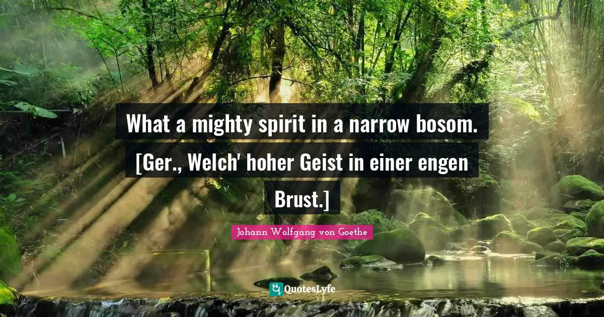 What a mighty spirit in a narrow bosom. [Ger., Welch' hoher Geist in einer engen Brust.]