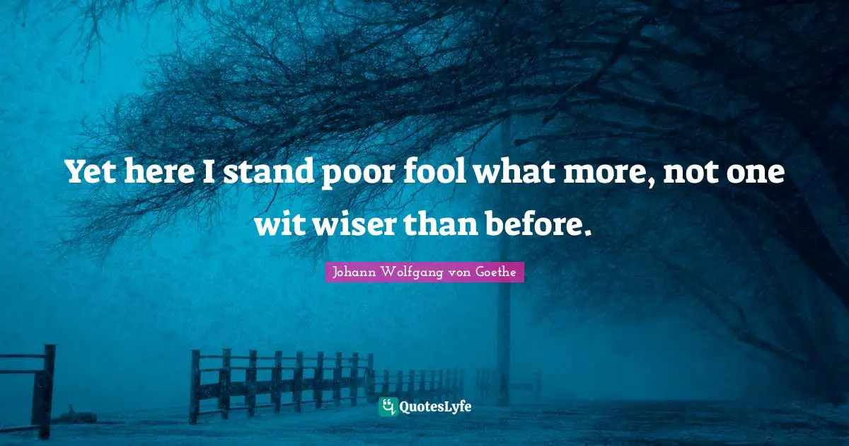 Yet here I stand poor fool what more, not one wit wiser than before.