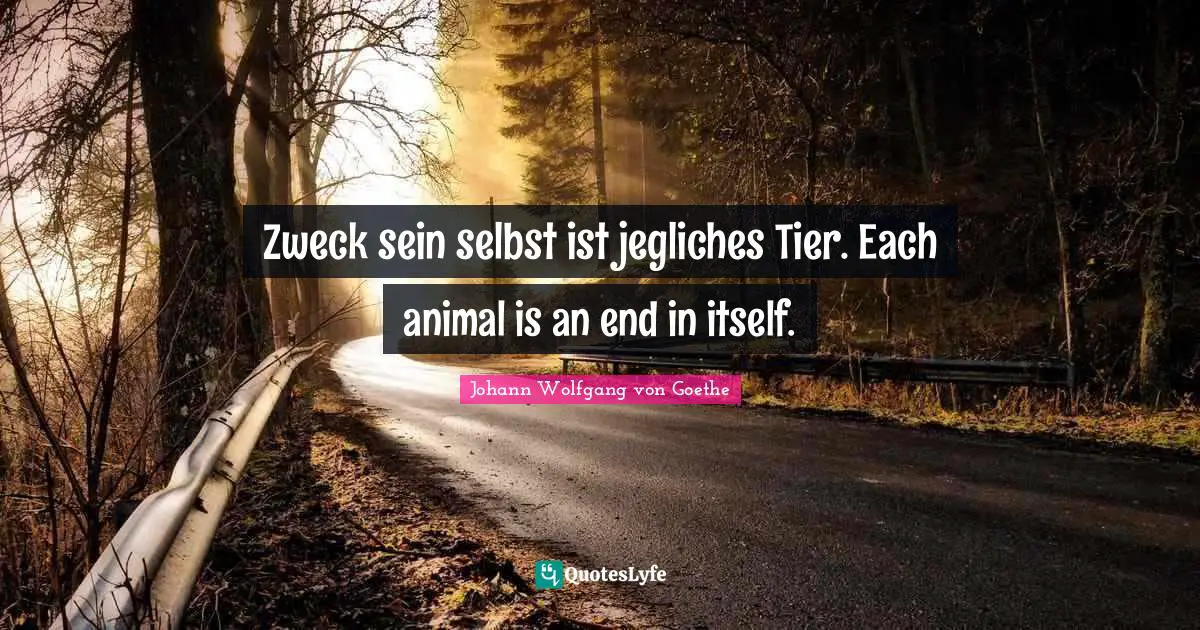 Zweck sein selbst ist jegliches Tier. Each animal is an end in itself.