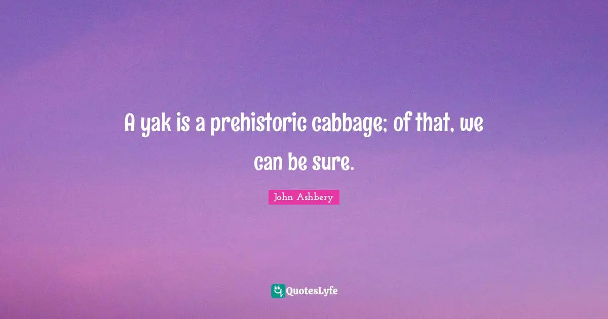 A yak is a prehistoric cabbage; of that, we can be sure.
