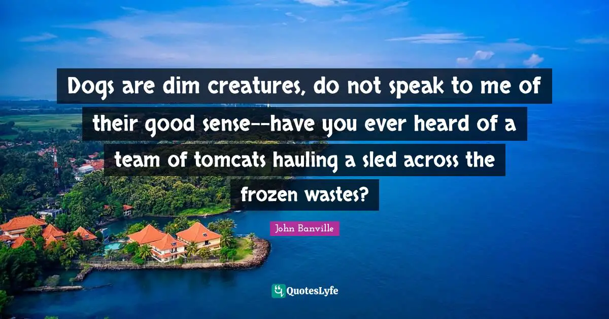 Dogs are dim creatures, do not speak to me of their good sense--have you ever heard of a team of tomcats hauling a sled across the frozen wastes?