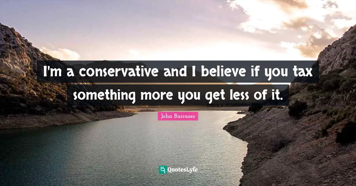 I'm a conservative and I believe if you tax something more you get less of it.
