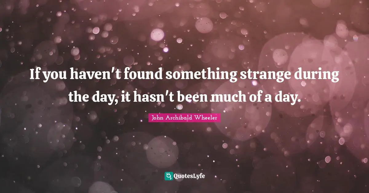 If you haven't found something strange during the day, it hasn't been much of a day.