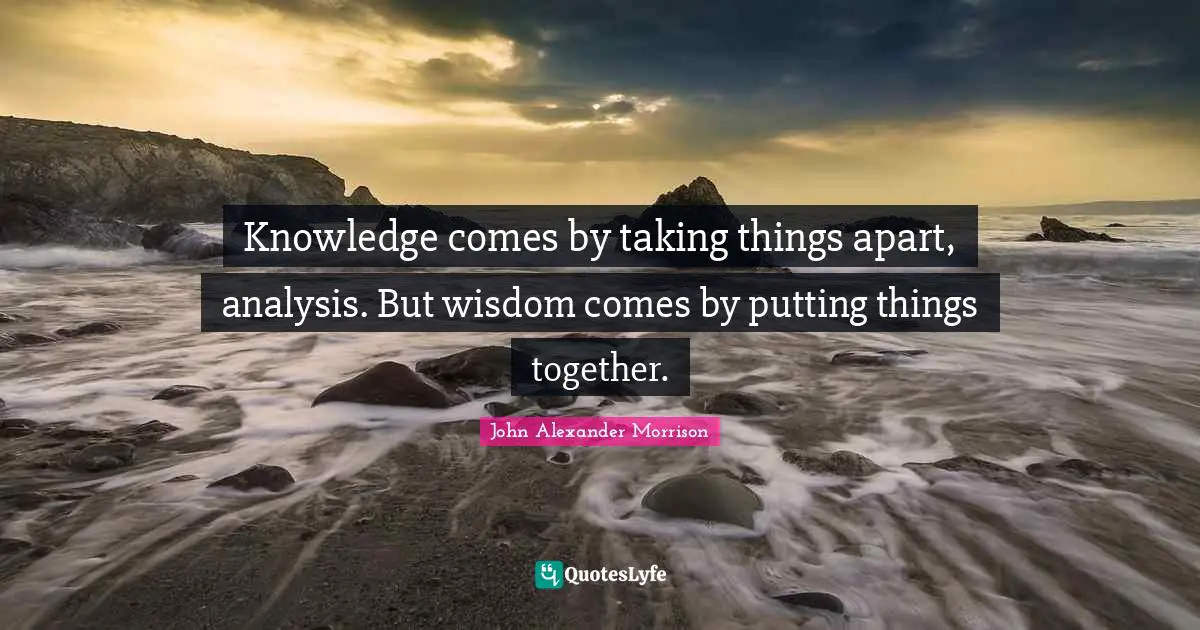 Knowledge comes by taking things apart, analysis. But wisdom comes by putting things together.