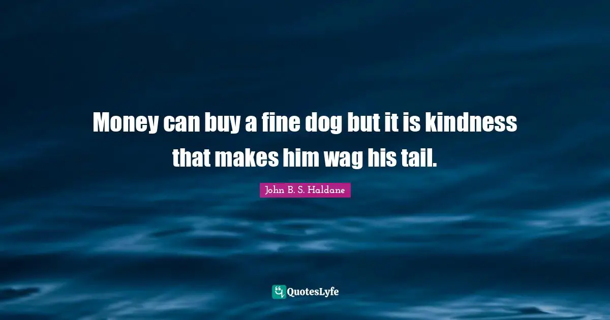 Money can buy a fine dog but it is kindness that makes him wag his tail.