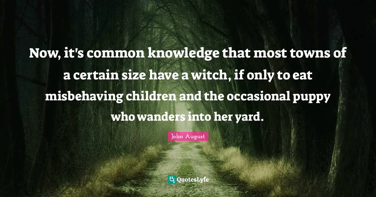Now, it's common knowledge that most towns of a certain size have a witch, if only to eat misbehaving children and the occasional puppy who wanders into her yard.