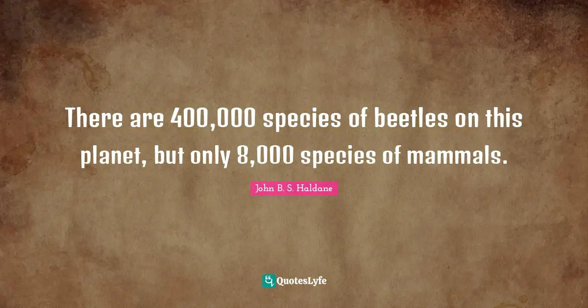 There are 400,000 species of beetles on this planet, but only 8,000 species of mammals.