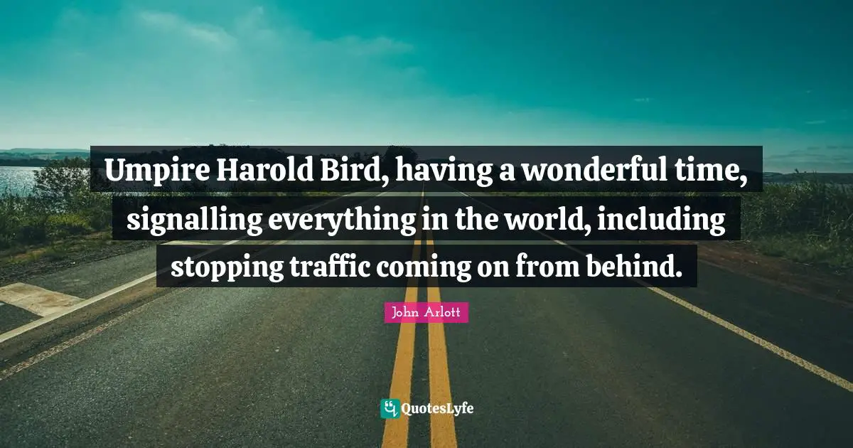 Umpire Harold Bird, having a wonderful time, signalling everything in the world, including stopping traffic coming on from behind.