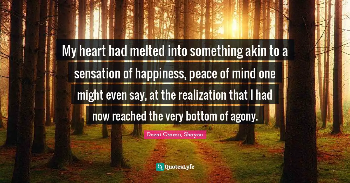 My heart had melted into something akin to a sensation of happiness, peace of mind one might even say, at the realization that I had now reached the very bottom of agony.