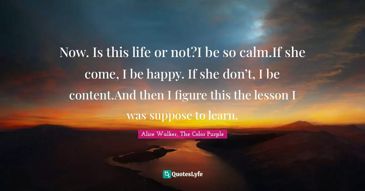 Alice Walker, The Color Purple Quotes: "Now. Is this life or not?I be so calm.If she come, I be happy. If she don’t, I be content.And then I figure this the lesson I was suppose to learn."