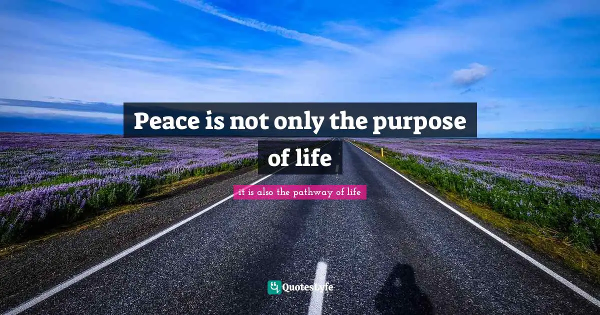 Peace is not only the purpose of life