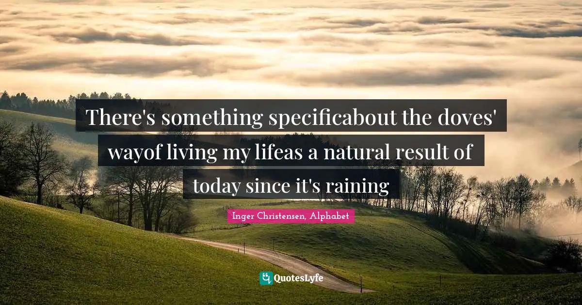 Doves Quotes: "There's something specificabout the doves' wayof living my lifeas a natural result of today since it's raining"