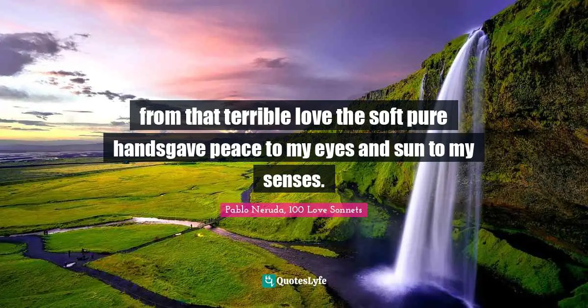 Pablo Neruda, 100 Love Sonnets Quotes: "from that terrible love the soft pure handsgave peace to my eyes and sun to my senses."