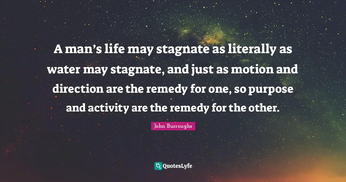John Burroughs Quotes: "A man’s life may stagnate as literally as water may stagnate, and just as motion and direction are the remedy for one, so purpose and activity are the remedy for the other."
