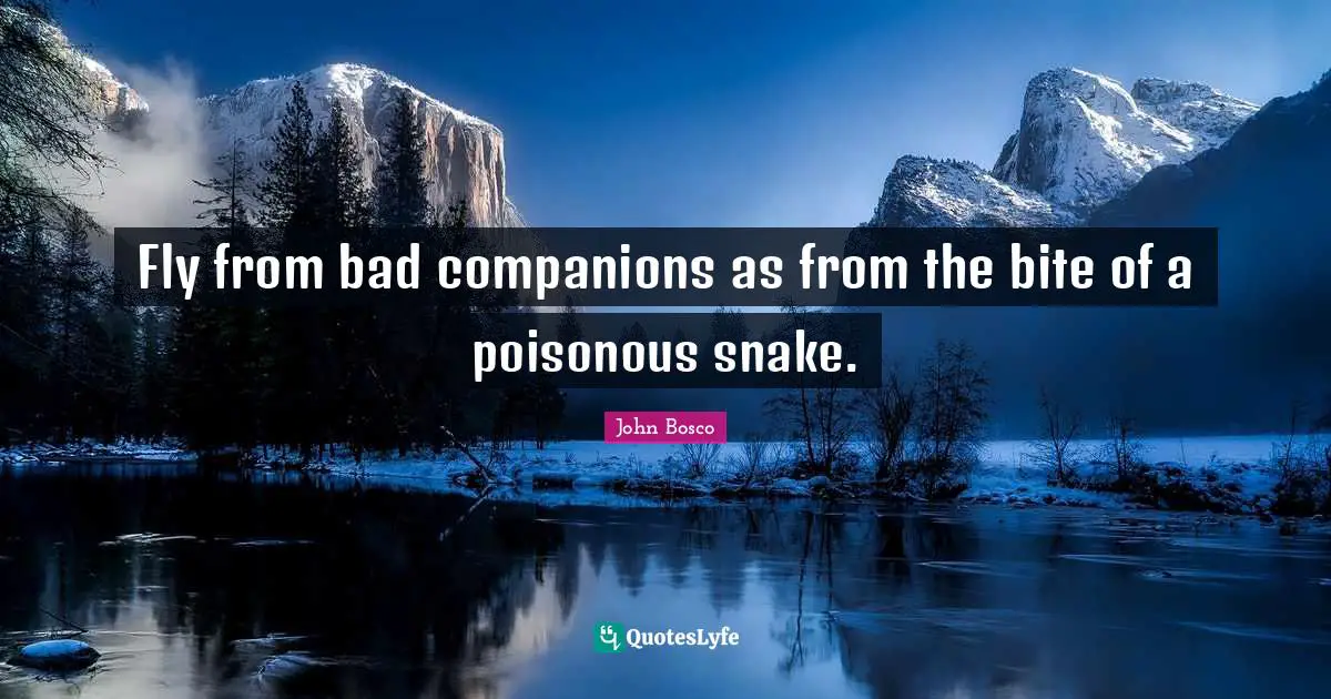 Snakes Quotes: "Fly from bad companions as from the bite of a poisonous snake."