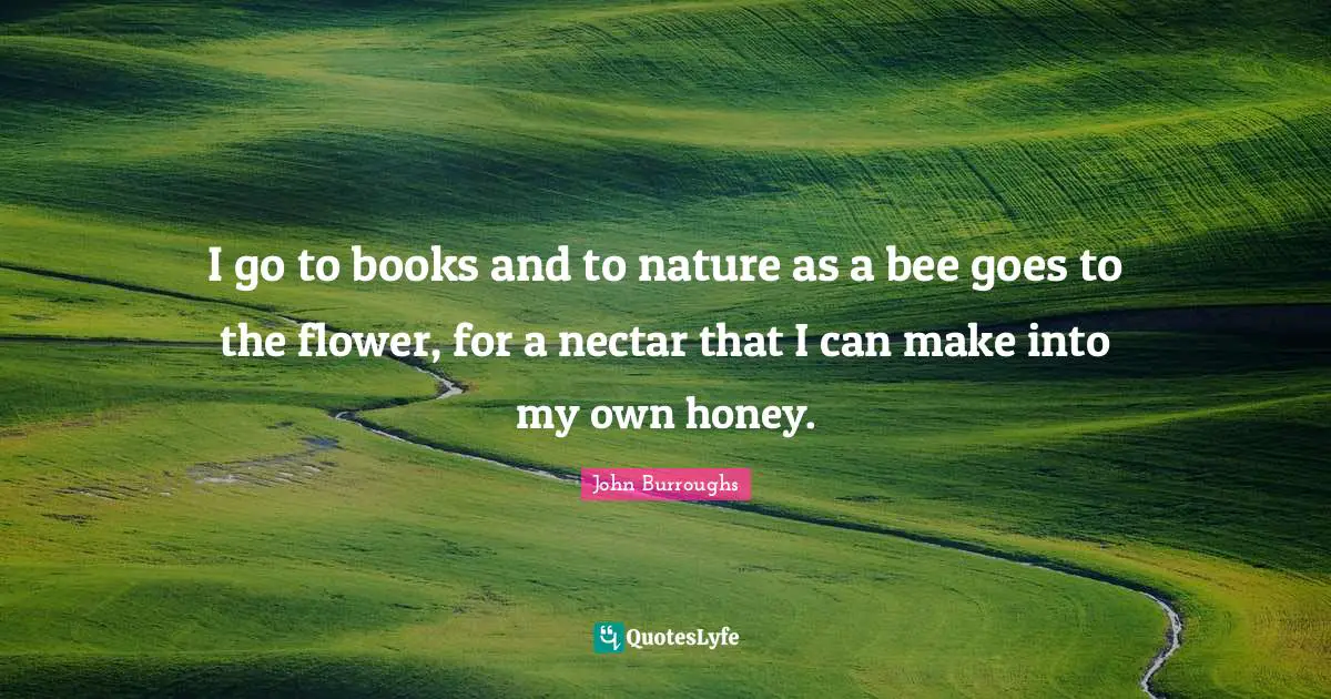 John Burroughs Quotes: "I go to books and to nature as a bee goes to the flower, for a nectar that I can make into my own honey."