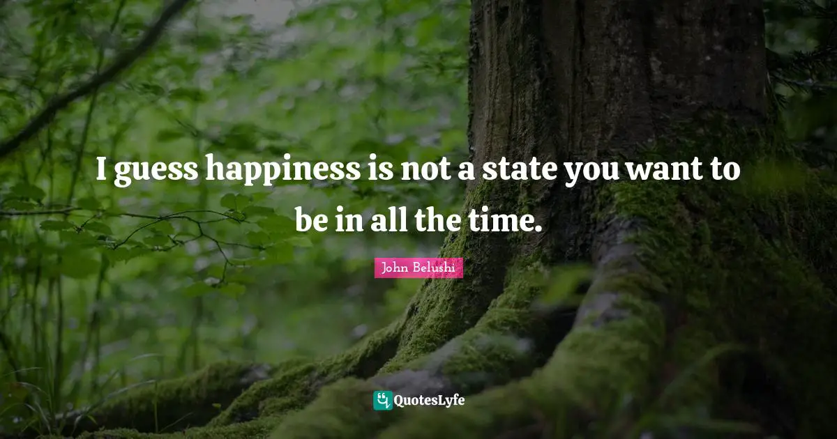 I guess happiness is not a state you want to be in all the time.