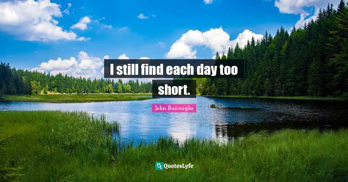 John Burroughs Quotes: "I still find each day too short."