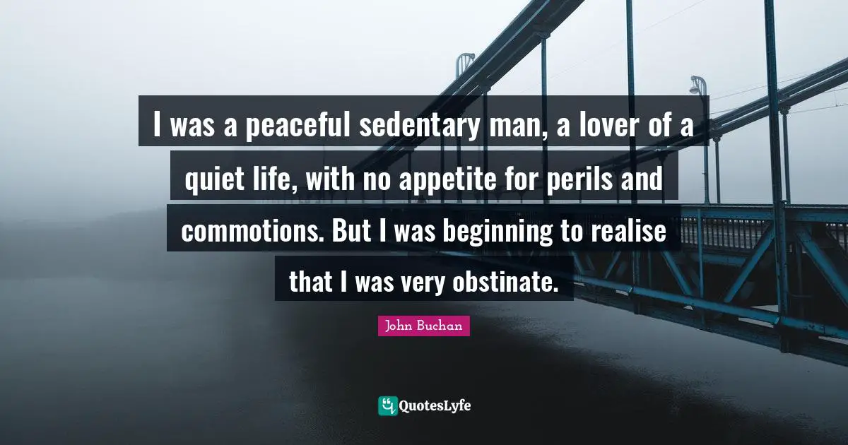 I was a peaceful sedentary man, a lover of a quiet life, with no appetite for perils and commotions. But I was beginning to realise that I was very obstinate.