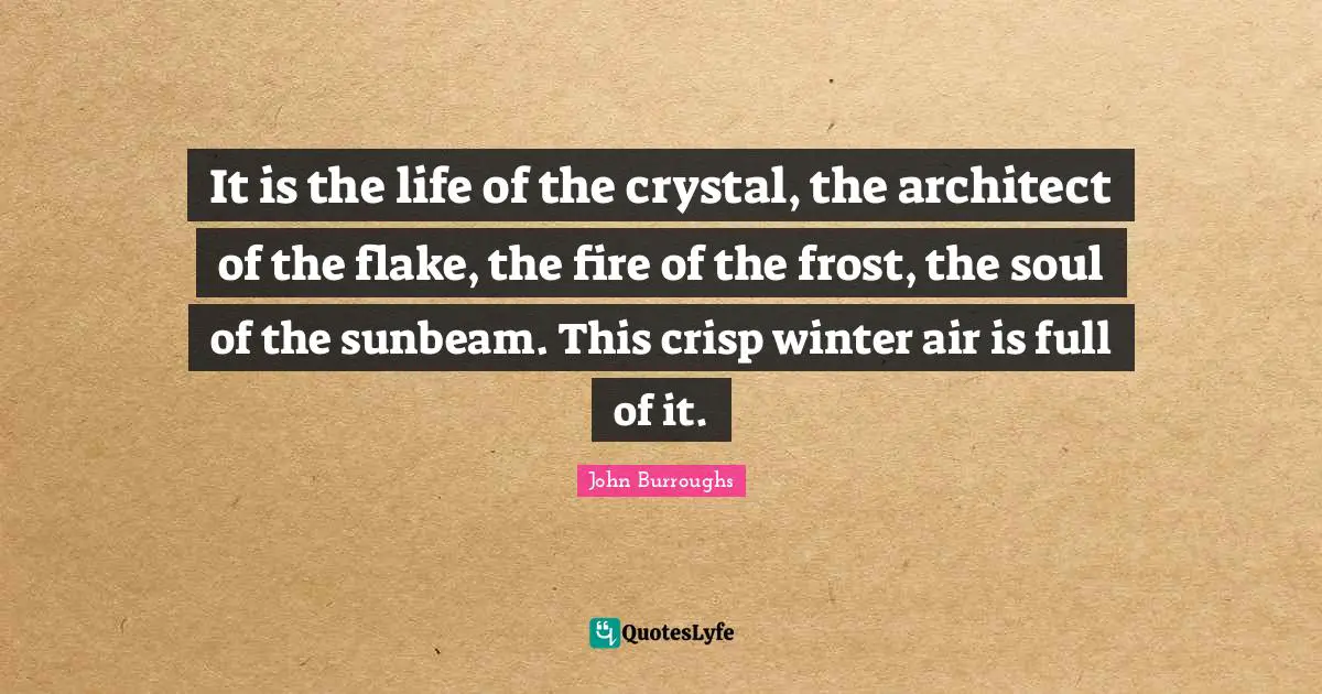 John Burroughs Quotes: "It is the life of the crystal, the architect of the flake, the fire of the frost, the soul of the sunbeam. This crisp winter air is full of it."