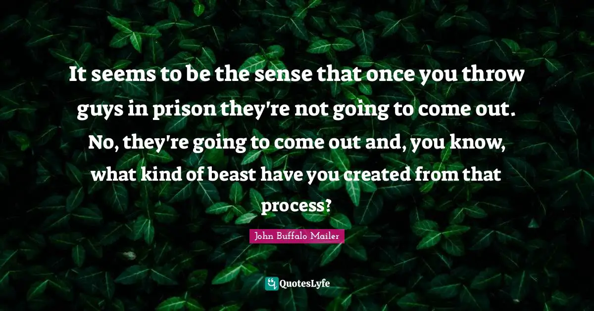 It seems to be the sense that once you throw guys in prison they're not going to come out. No, they're going to come out and, you know, what kind of beast have you created from that process?