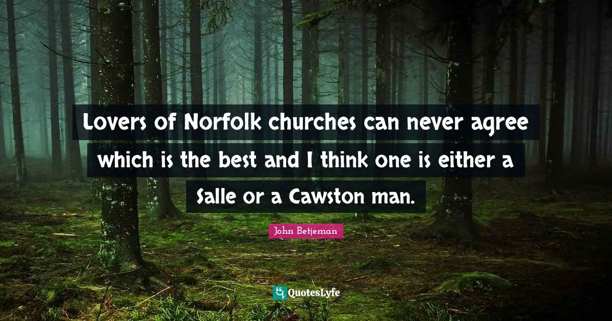 Lovers of Norfolk churches can never agree which is the best and I think one is either a Salle or a Cawston man.