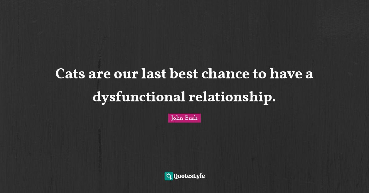 Cats are our last best chance to have a dysfunctional relationship.