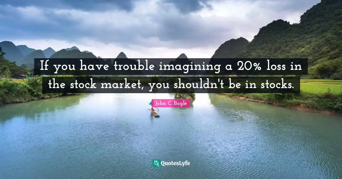 If you have trouble imagining a 20% loss in the stock market, you shouldn't be in stocks.