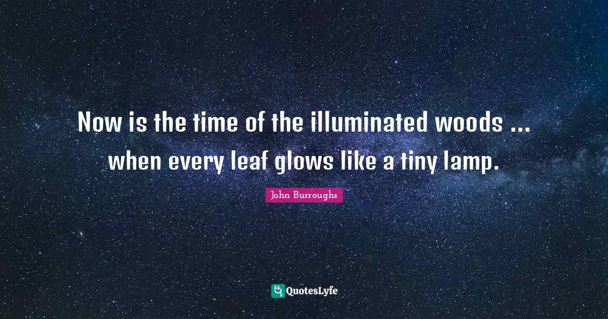 Lamps Quotes: "Now is the time of the illuminated woods ... when every leaf glows like a tiny lamp."